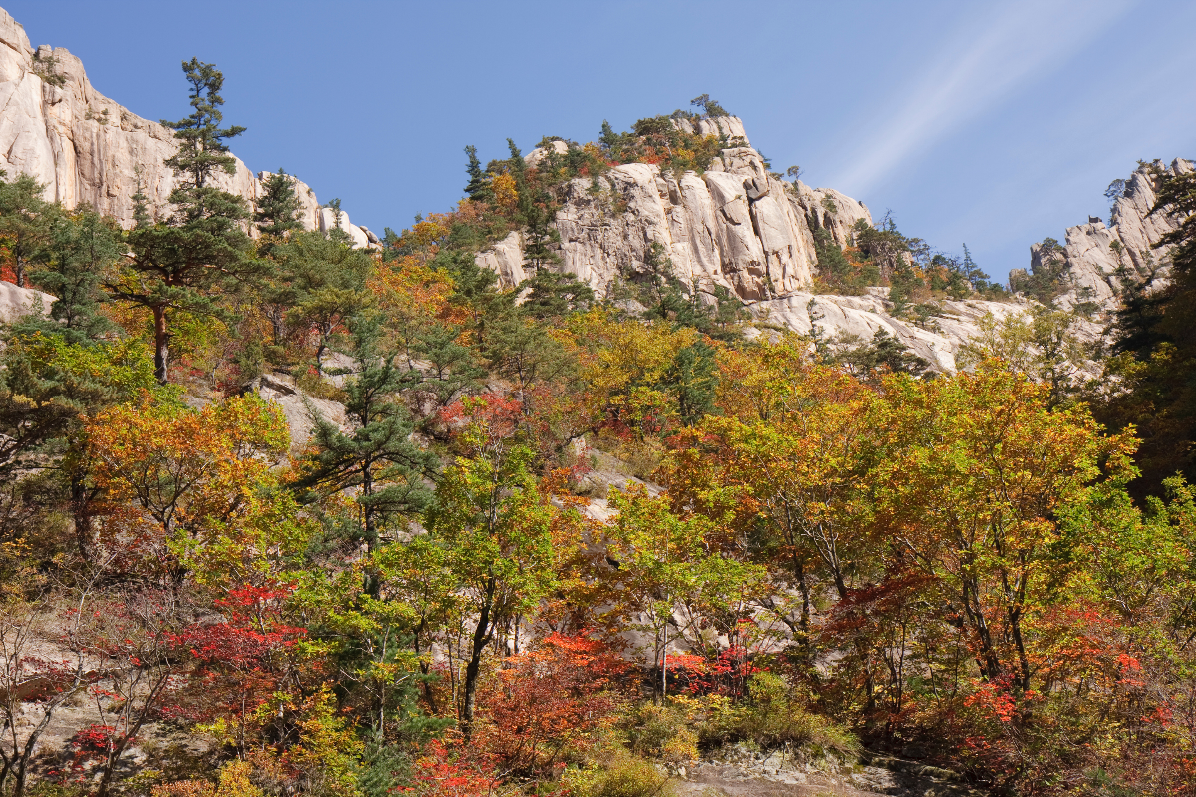 seoraksan national park seorak.webp
